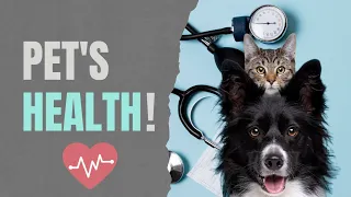 Your pet's health is your responsibility