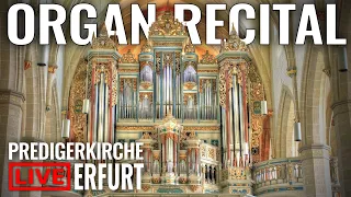 🔴 Organ Recital + Overview of Predigerkirche, Erfurt (Germany) // @PiotrGrabowski_Organs