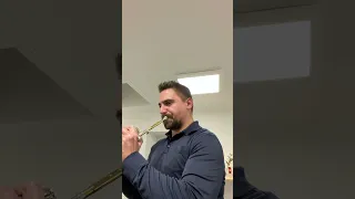 Händel Piccolo Trumpet Excerpt ,,Gloria in Exelcis Deo“