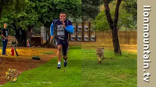 🔥 Bryan Habana vs. Cheetah 🐆 The Ultimate Race for Survival! 🏃💨