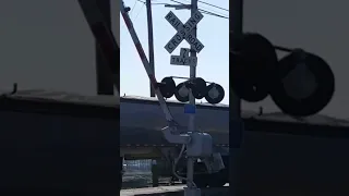 Semi Truck goes around railroad crossing gate (with cool sound effects)
