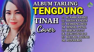 ALBUM TARLING TENGDUNG 2024 - TINAH COVER || VOL 01 ( Video Lirik )