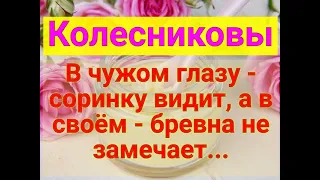 Колесниковы/В чужом глазу - соринку видит, а в своём - бревна не замечает.../Обзор влогов