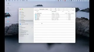 File Management using a Mac