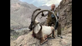 WORLD RECORD Persian Desert Ibex! IRAN. Экспедиции Александра Егорова