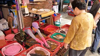 Watch Korea's Legendary Sashimi Master Seafood Sashimi Video - Korean Street food