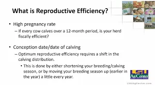 Estrus Synchronization: Not Just for Artificial Insemination! - Beef Brunch Educational Series