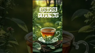 Доброе утречко.