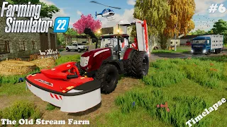 MOWING GRASS & BUYING SHEEP | The Old Stream Farm | Farming Simulator 22 | Epi 6