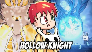 RADIANT ABSOLUTE RADIANCE 🤍 HOLLOW KNIGHT #41