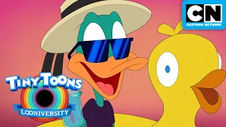 SPECIAL: Spring Beak 🐰🌸🌷🌼 | Tiny Toons Looniversity | Cartoon Network