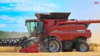 CASE IH 7250 Axial-Flow Combine Harvesting Wheat