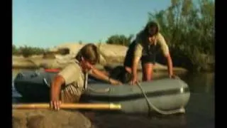 Steve Irwin's Wildest Animal Encounters (Part 6)