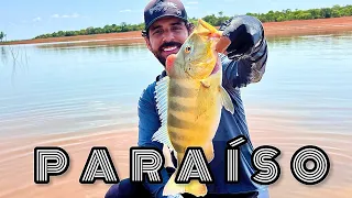 REPRESA DE TRÊS MARIAS, MORADA NOVA DE MINAS | PESCARIA DE CAIAQUE - PARTE 1