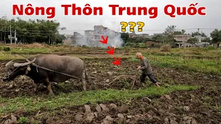 Thăm Nông Thôn Trung Quốc Tìm Người Việt ?Thấy Cuộc Sống Bên Này