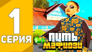 ПУТЬ МАФИОЗИ В GTA SAMP #1