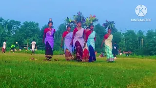 JARSI NUMBER 5 KORA/SANTALI VIDEO/KARAN BHAI SANTALI VIDEO