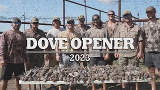 The Ultimate Dove Hunting Video | Louisiana Dove Opener 2023