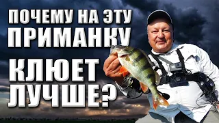 В чем секрет этой приманки? Почему на неё клюет лучше? Ловим окуня среди камней на Arion 702 ULS