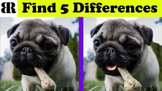 Find The Difference | Spot The 5 Differences | Only Geniuses Can Find ALL | 10 rounds | Puppy