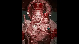 velankanni matha 🎵🎵🎵 song whatsApp status🤶🤶🤶 ✝️✝️💮💮💮💮💮💮💮💮💮💮💮💮💮💮💮💮💮💮💮💮💮💮💮💮💮💮💮💮💮💮💮💮💮💮💮💮💮💮💮💮💮💮💮💮💮💮💮💮