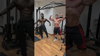 Calisthenics Physic Vs Mr Olympia Men physique Luca Biolo