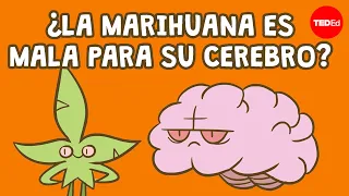 ¿La marihuana es mala para el cerebro? - Anees Bahji