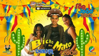 BICHO DO MATO - EP DRILHA E ARRASTA-PÉ 2009
