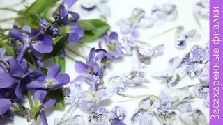 ЗАСАХАРЕННЫЕ ФИАЛКИ - Цветы в сахаре, рецепт | CANDIED VIOLET