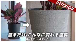 【コスパ最強DIY】1時間でプラ鉢からコンクリ鉢を作る方法