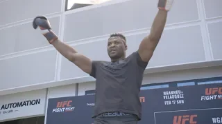 UFC Phoenix: Open Workout Highlights