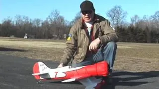 DYNAM GEEBEE WITH KILLER PLANES CRASHPROOFING