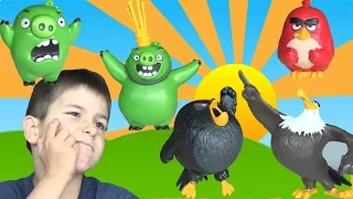 ALL Angry Birds full Collection toys review Angry Birds and Bad Piggies Злые Птички SanSanychTV