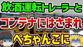 【ゆっくり解説】「道路じゃないから無罪ｗ」注意を無視した男が起こしてしまった悲惨な事故