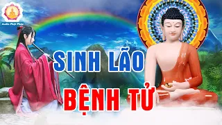 Lời Phật Dạy Sinh Lão Bệnh Tử - Cuộc Đời Là Vô Thường CỰC HAY #MỚI