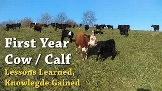 First Year Cow/Calf..... Lessons Learned, Knowledge Gained