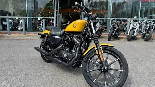 Harley-Davidson XL 883 N Iron 19 (Gold) walkaround with engine sound for sale