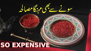 Why Real Saffron Is So Expensive | So Expensive | Most Expensive Spice In The World | Saffron