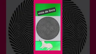 #adivinanza #richi1224 #shorts  vista de lince