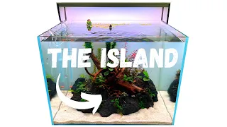 EASY BEGINNER AQUASCAPE SETUP - ADA 60H Island Style