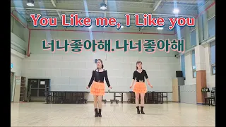 you like  me,I like  you/2024 Linedance/너나좋아해 나 너좋아해/점섬체육관