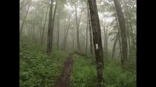 Appalachian Trail: Winding Stair Gap---Nantahala Outdoor Center; Solo Section Hike