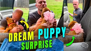 Lady Surprised Her Husband with His Dream Puppy