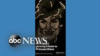 Artist pays glowing tribute to Princess Diana