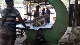 4 Craftsmen With a Rain Tree Straight Wood Cutting in a Saw Mill Aisa/Super Fast Wood Cutting BD