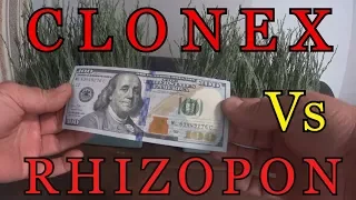 Какой укоренитель лучше? КЛОНЕКС ГЕЛЬ или РИЗОПОН? CLONEX  Vs  RHIZOPON.