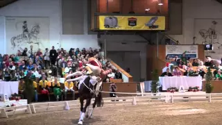 CVI Bern 2015 - PDD SUI Harlekin (CVI3*)