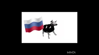 Русская коровы