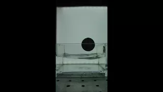 Water and Ping Pong Ball- Microgravity Experiment