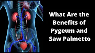 What Are the Benefits of Pygeum and Saw Palmetto